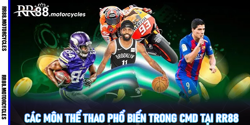 Các môn thể thao phổ biến trong CMD tại RR88