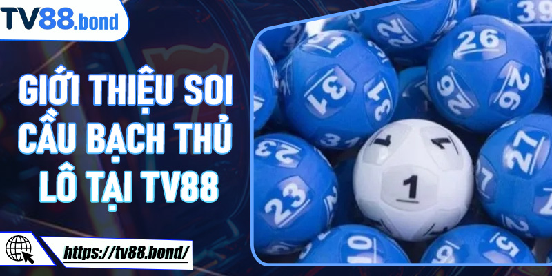 Giới thiệu Soi Cầu Bạch Thủ Lô tại TV88