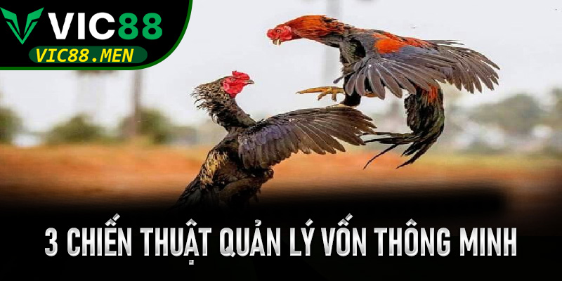 3 Chiến thuật quản lý vốn thông minh khi theo dõi những trận đấu dài hơi