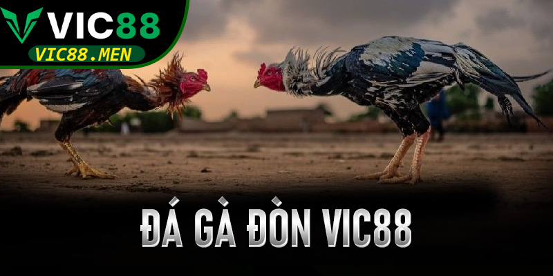 Đá Gà Đòn Vic88